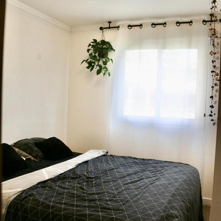grand duc - Appartement 1 Chambre - 7