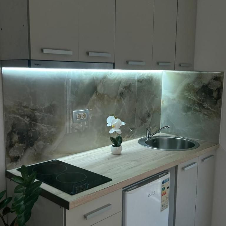 Lumia Suites, Petrovac for two - Apartment mit 1 Schlafzimmer - 1