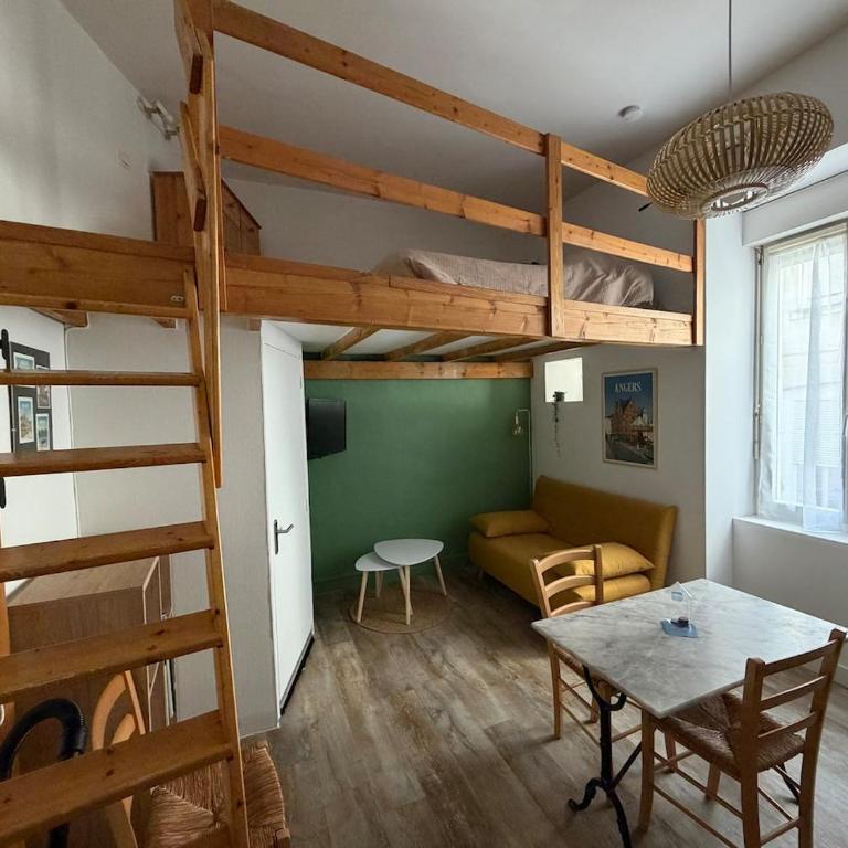 Le Roi Rene appartement cosy et confortable Angers centre entre gare et château - Appartement 1 Chambre - 1