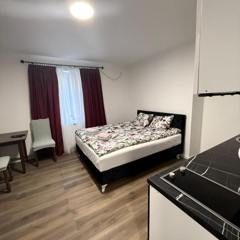 SunnySide of City - Sarajevo - Apartman sa 1 Spavaćom Sobom - 1