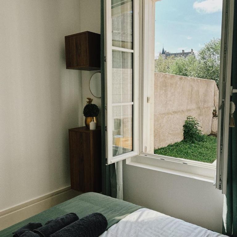 Vue Château ,Centre Ville , Loire, Maison Commire , climatisé - Appartement 1 Chambre - 1