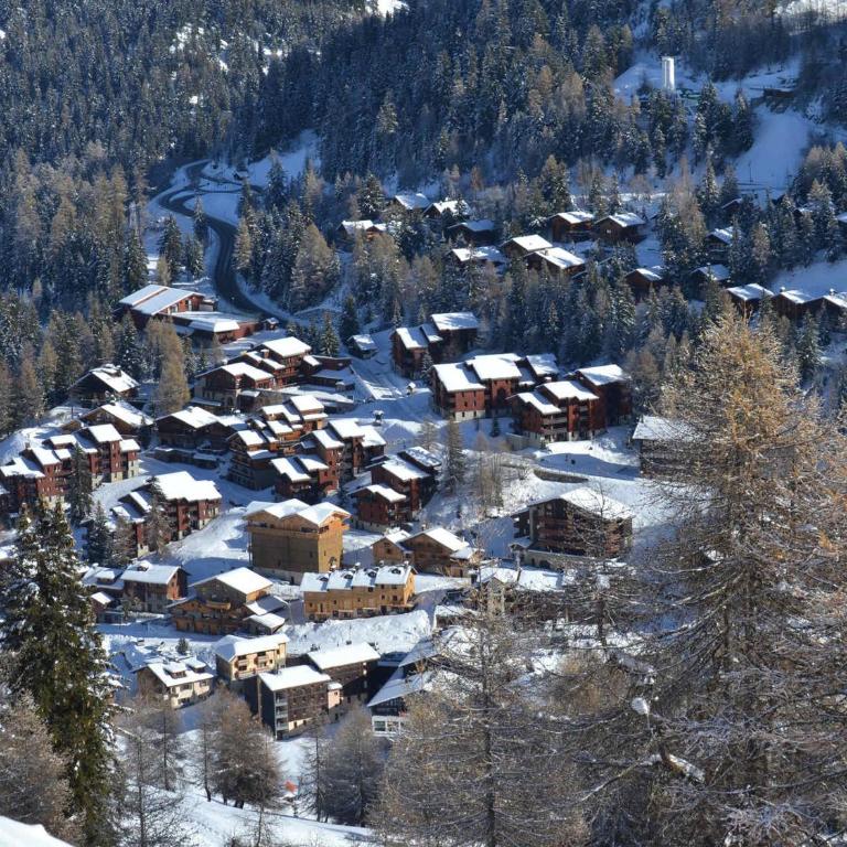 Appartement 2 pièces avec accès piscine Plagne 1800 - FR-1-455-149 - Appartement (4 Adultes) - 16