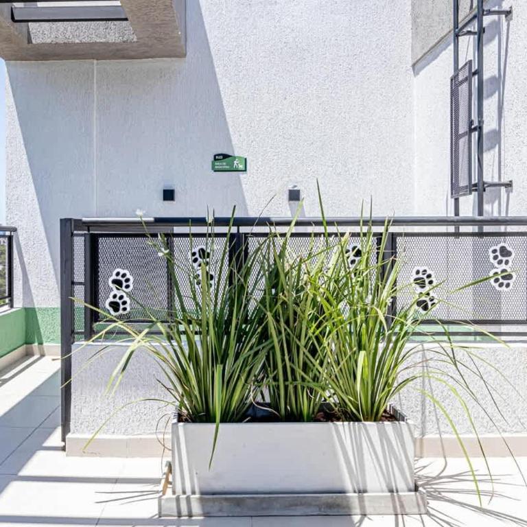 Sky Stays at Asuncion Cozy 2BDR - Suite - 20