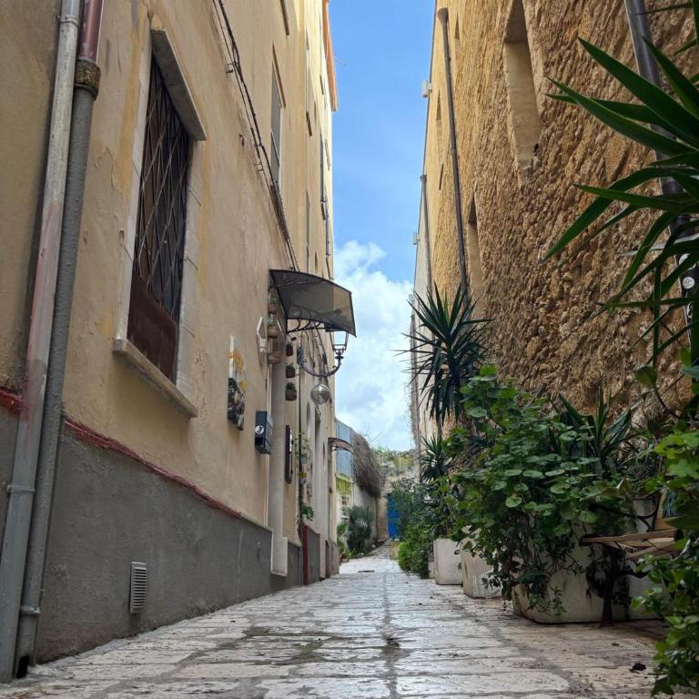 Rosso Brindisi Domus - Appartamento con 1 Camera da Letto - 17