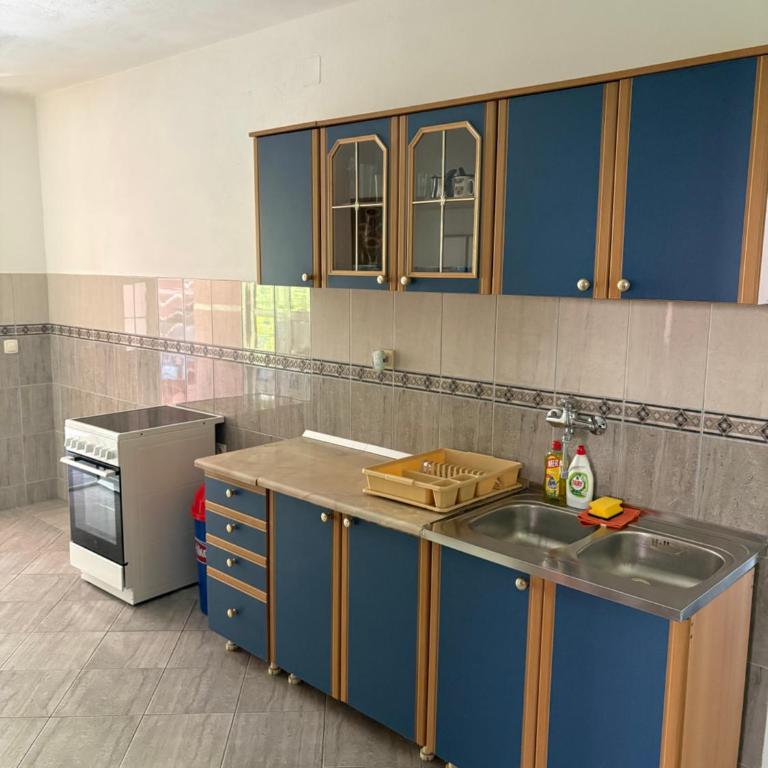 Zlatičanin Apartmani - Studio sa Bračnim Krevetom (King-size) - 8