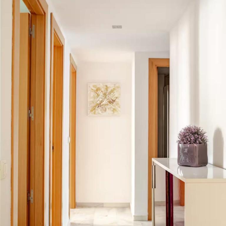 Bright Apartment with 2 Bathrooms, Central Malaga - Apartamento de 2 dormitorios - 19