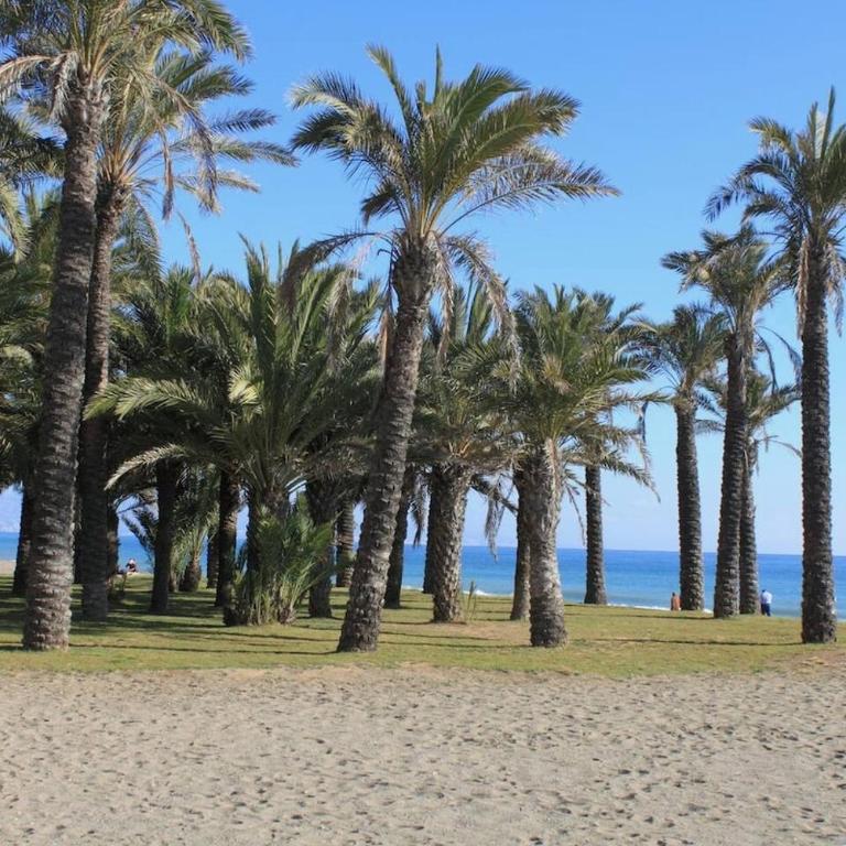 Bright Apartment with 2 Bathrooms, Central Malaga - Apartamento de 2 dormitorios - 20