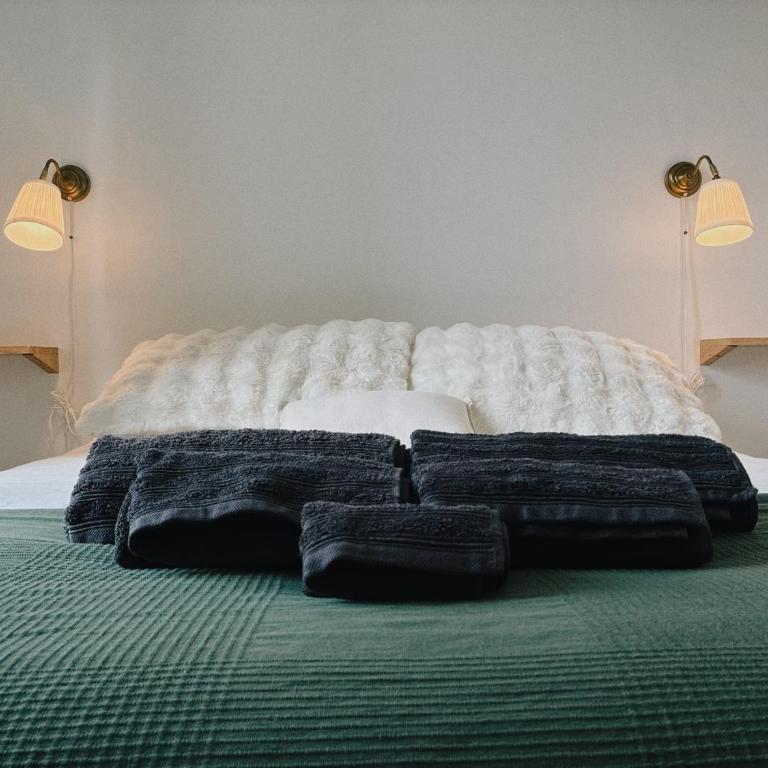 Vue Château ,Centre Ville , Loire, Maison Commire , climatisé - Appartement 1 Chambre - 2