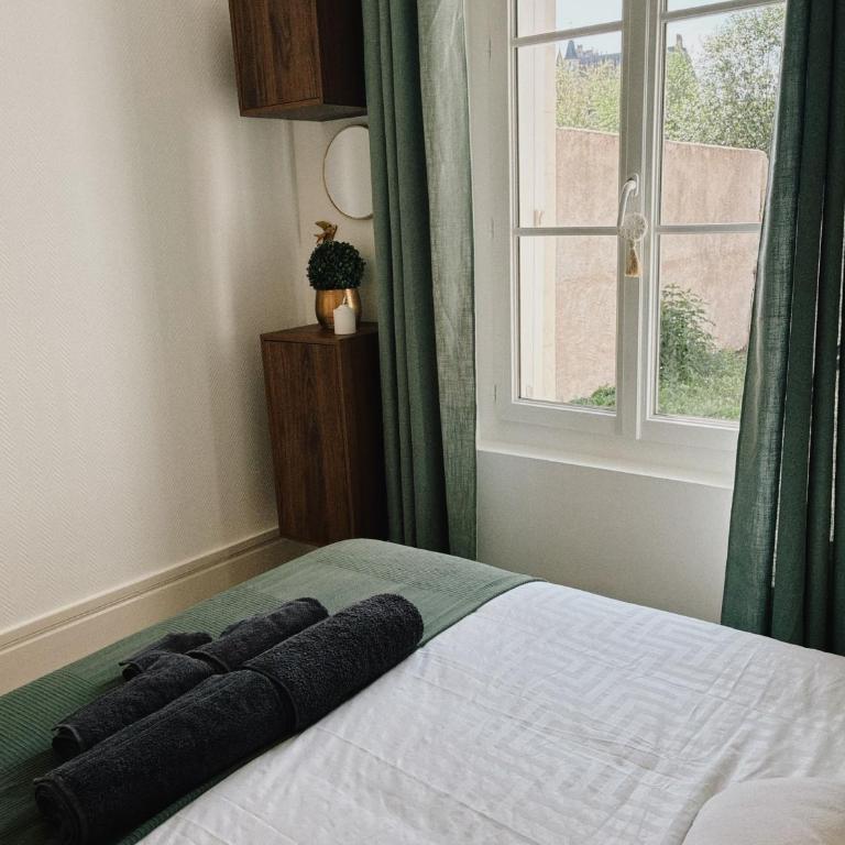 Vue Château ,Centre Ville , Loire, Maison Commire , climatisé - Appartement 1 Chambre - 3