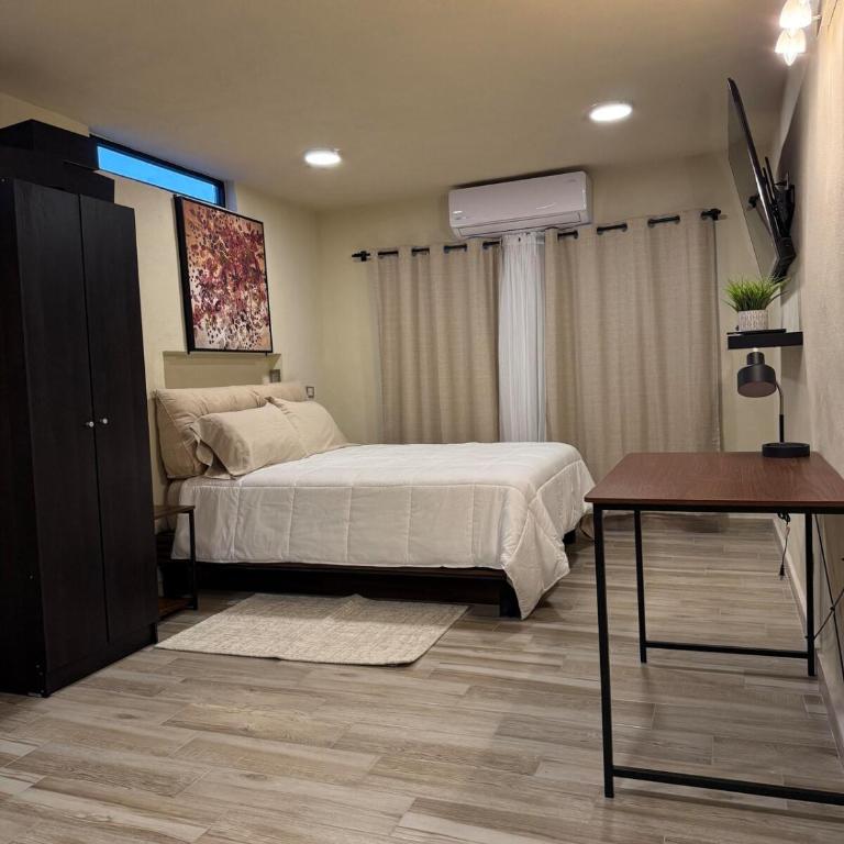 Habitacion ejecutiva en Apodaca - Apartamento de 1 dormitorio - 1