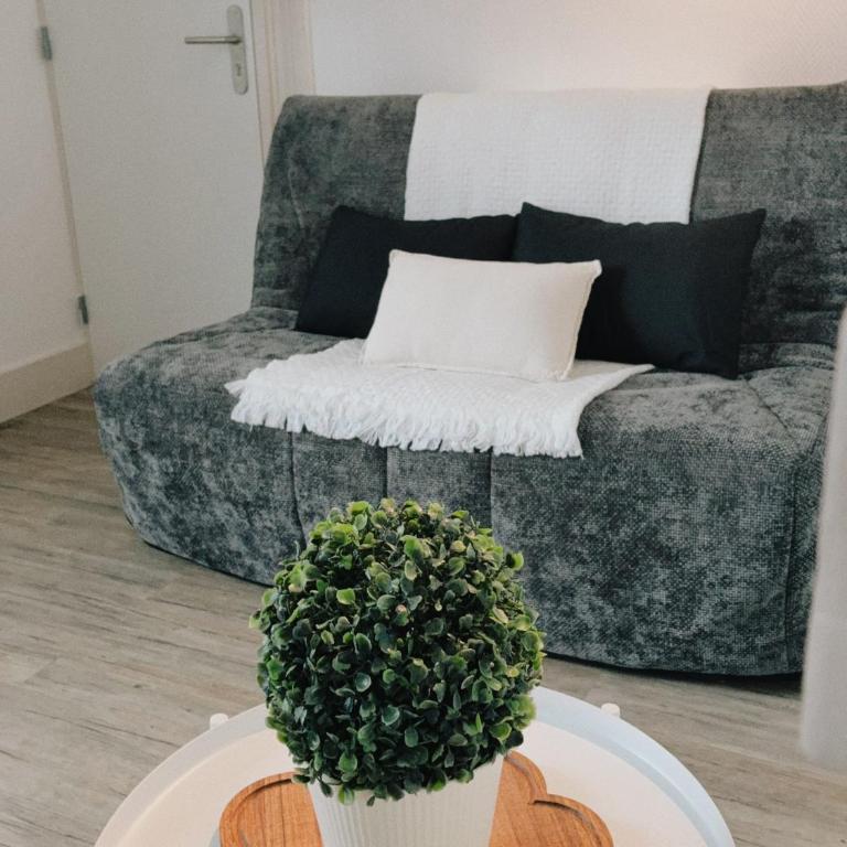 Vue Château ,Centre Ville , Loire, Maison Commire , climatisé - Appartement 1 Chambre - 10