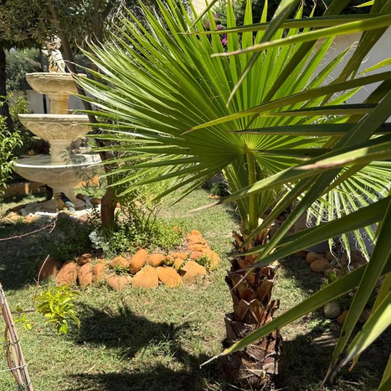 Superbe T2 au rez-de-chaussée avec jardin - Haus mit 1 Schlafzimmer - 6