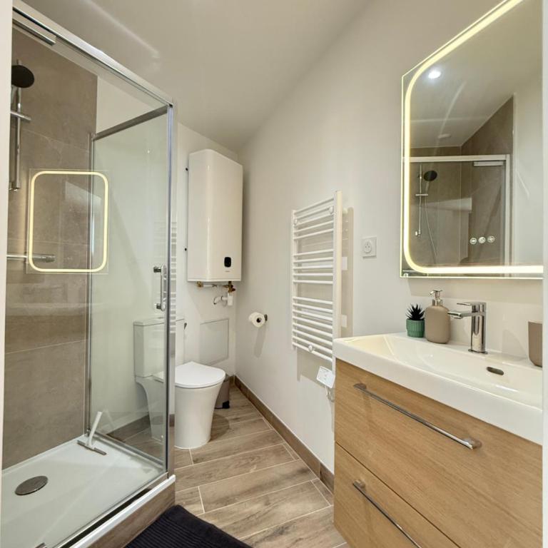T1 Charmant - Centre ville - Madeleine - Appartement 1 Chambre - 12