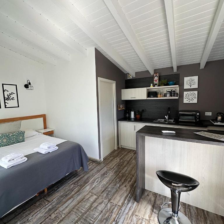 Botánico I - Apartamento de 1 dormitorio - 1