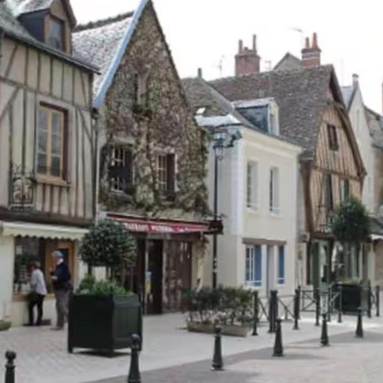 Vue Château ,Centre Ville , Loire, Maison Commire , climatisé - Appartement 1 Chambre - 25