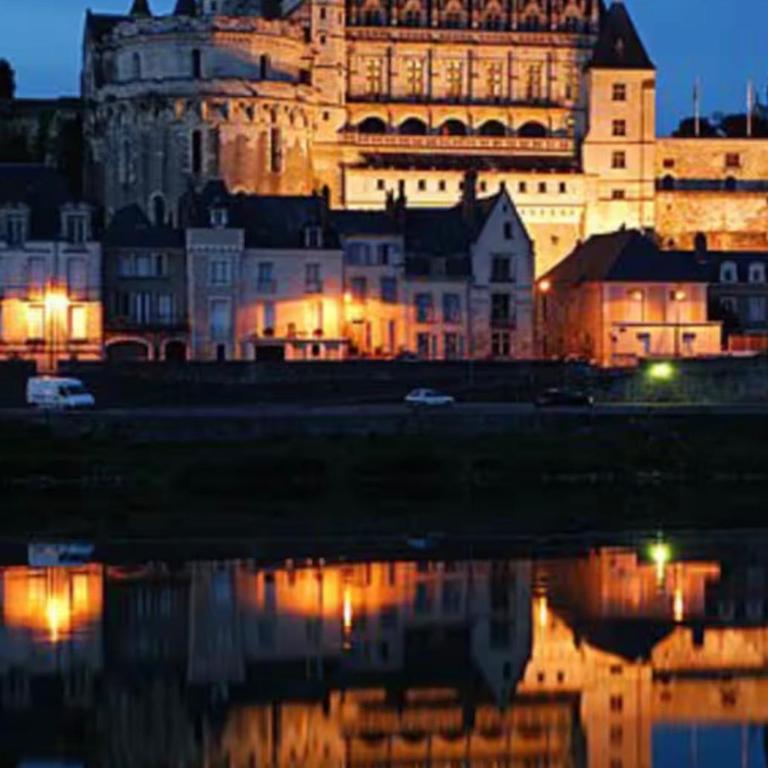 Vue Château ,Centre Ville , Loire, Maison Commire , climatisé - Appartement 1 Chambre - 27