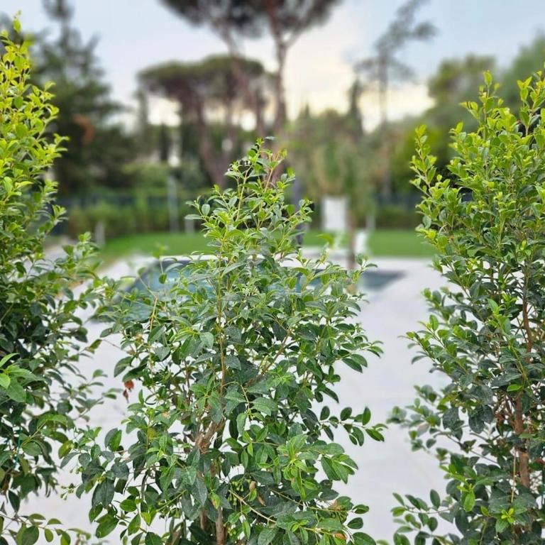 Villa Isabel with a modern pool and wellness area - Casa con 4 camere da letto - 18