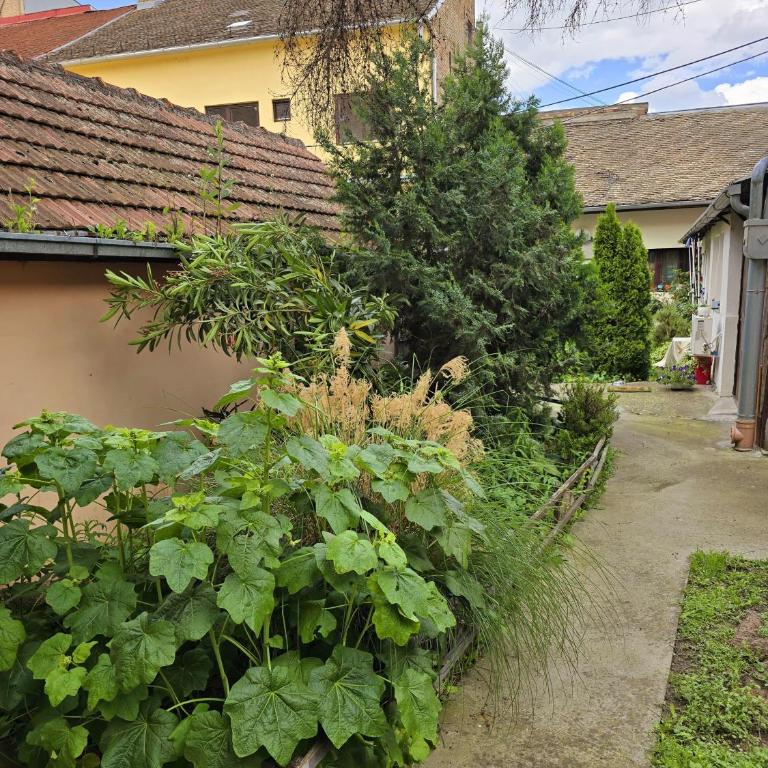 Etalon - Two-Bedroom Apartment - 4