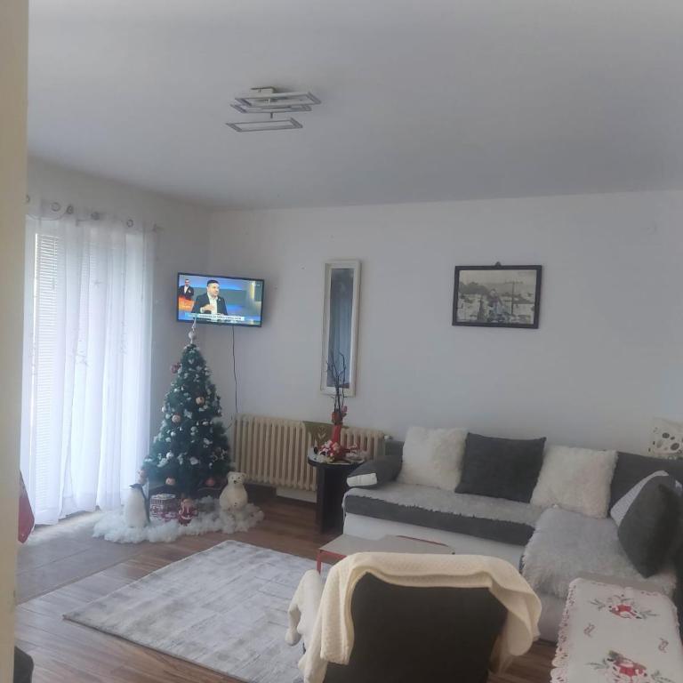 Apartman Živković - Apartment mit 1 Schlafzimmer - 2