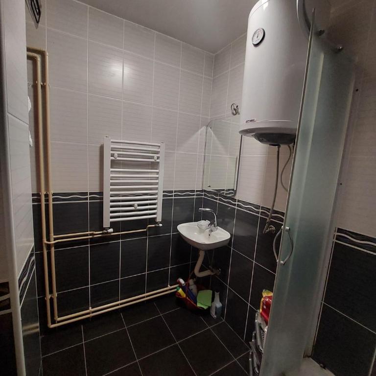 Apartman Živković - Apartment mit 1 Schlafzimmer - 4