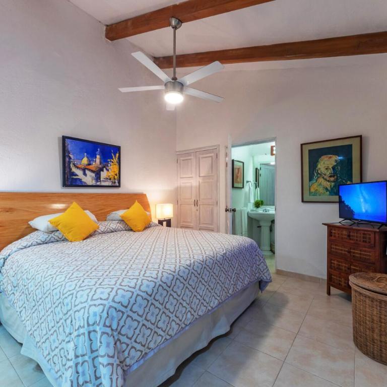 Private Beachfront Villas Puerto Vallarta 12-30 guests - Villa frente a la playa - 2