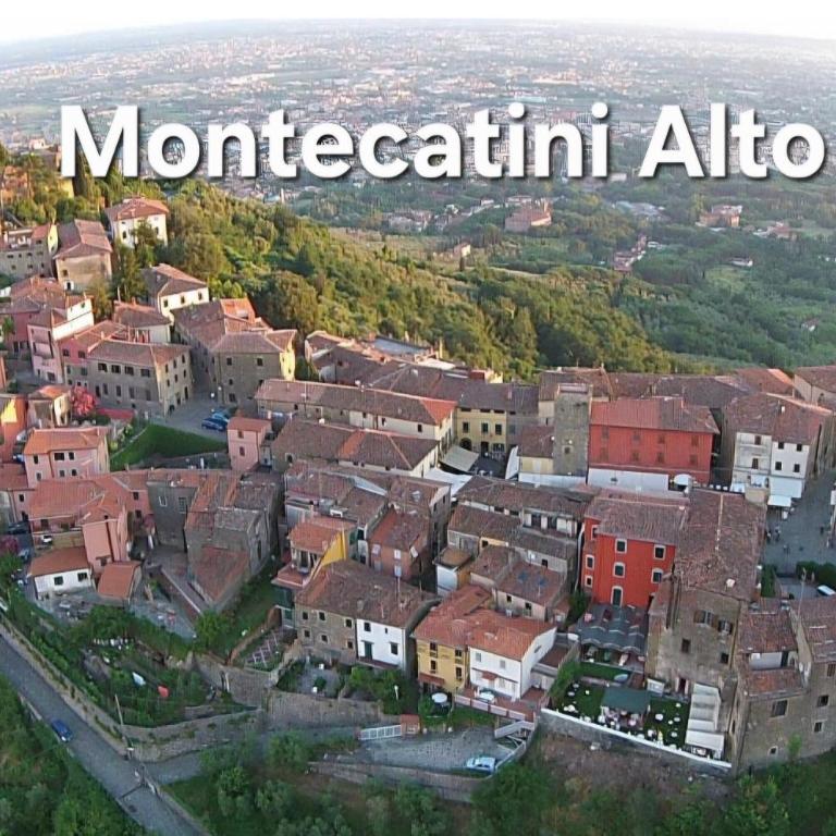 Bella Toscana Apartament 2 - Appartement 1 Chambre - 12