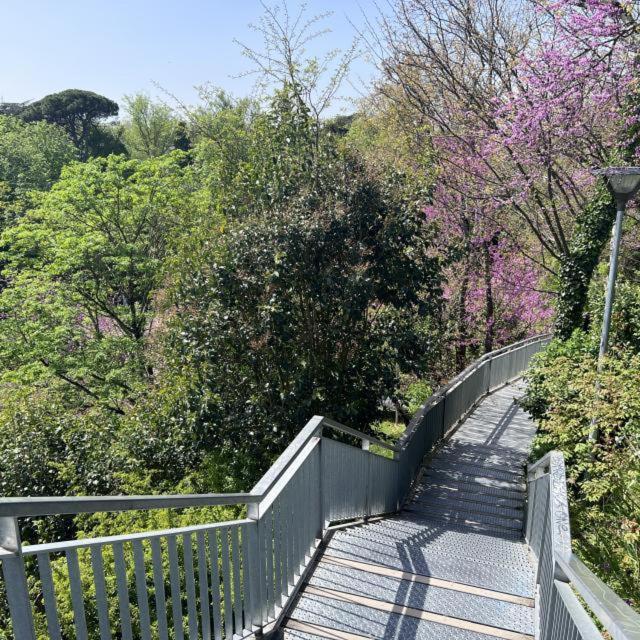 "Le cocon de Sapiac" grand appartement avec garage - Appartement 3 Chambres - 35
