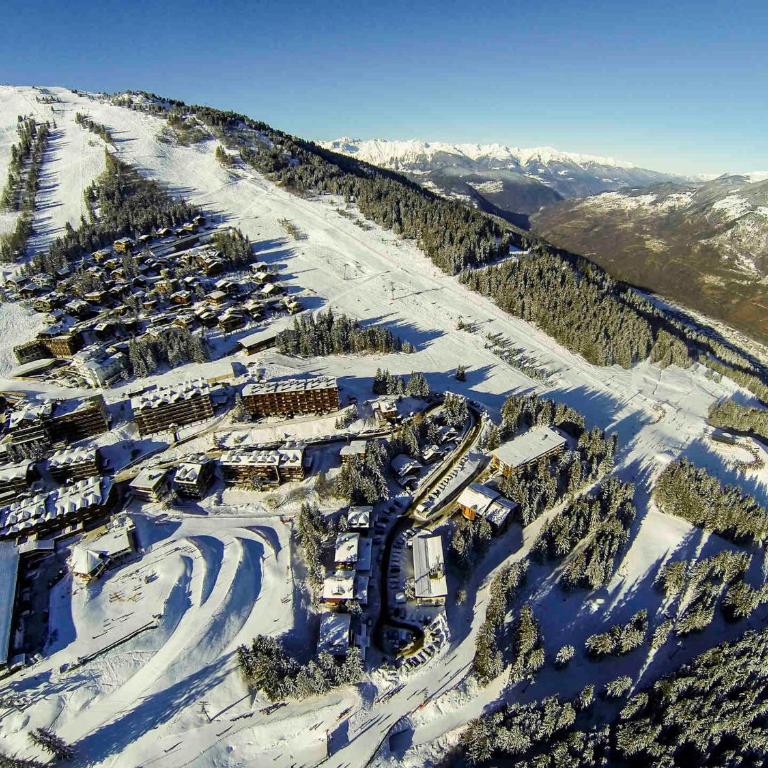 Appartement de charme avec cheminée et balcon ensoleillé à Courchevel - FR-1-564-84 - Appartement - 17