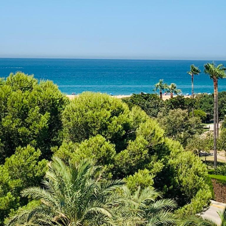 Exclusivo Zahara Urb Bahia de la Plata - Apartamento - 12