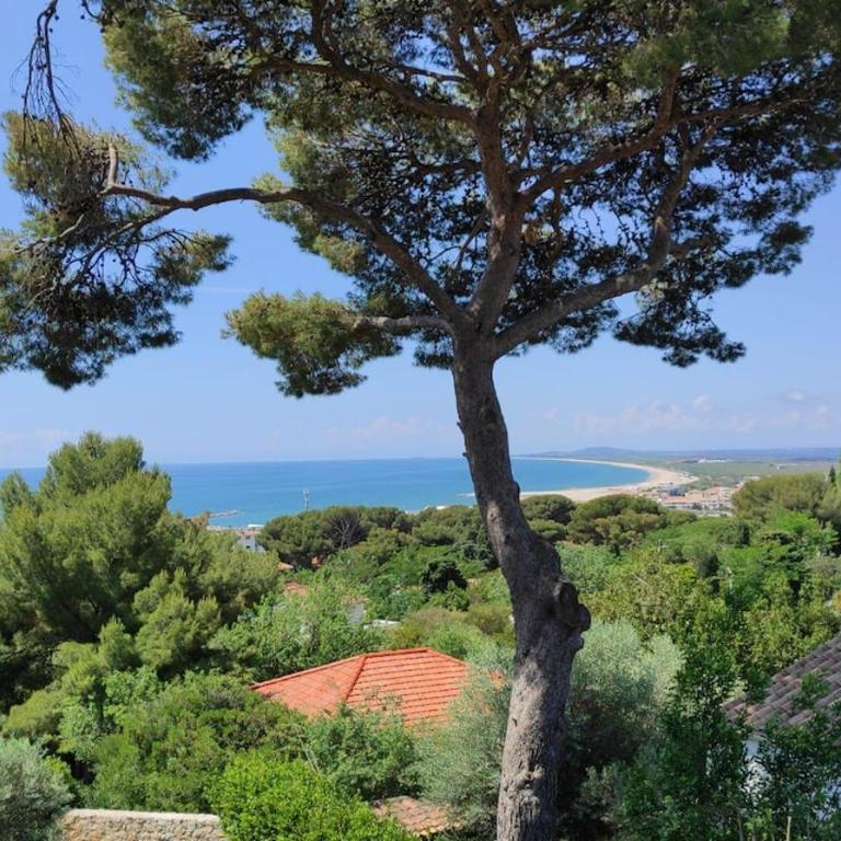 La Maison Rouge dans Les Pins - Villa 3 Chambres - 1