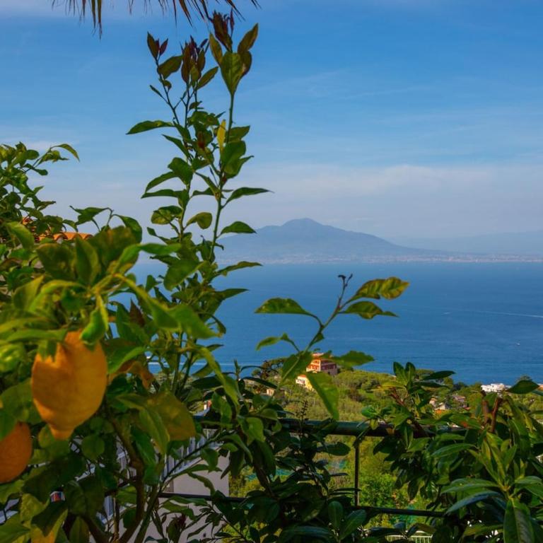 Spacious Sorrento Villa with Pool, Jacuzzi & Panoramic Sea View - Villa - 98