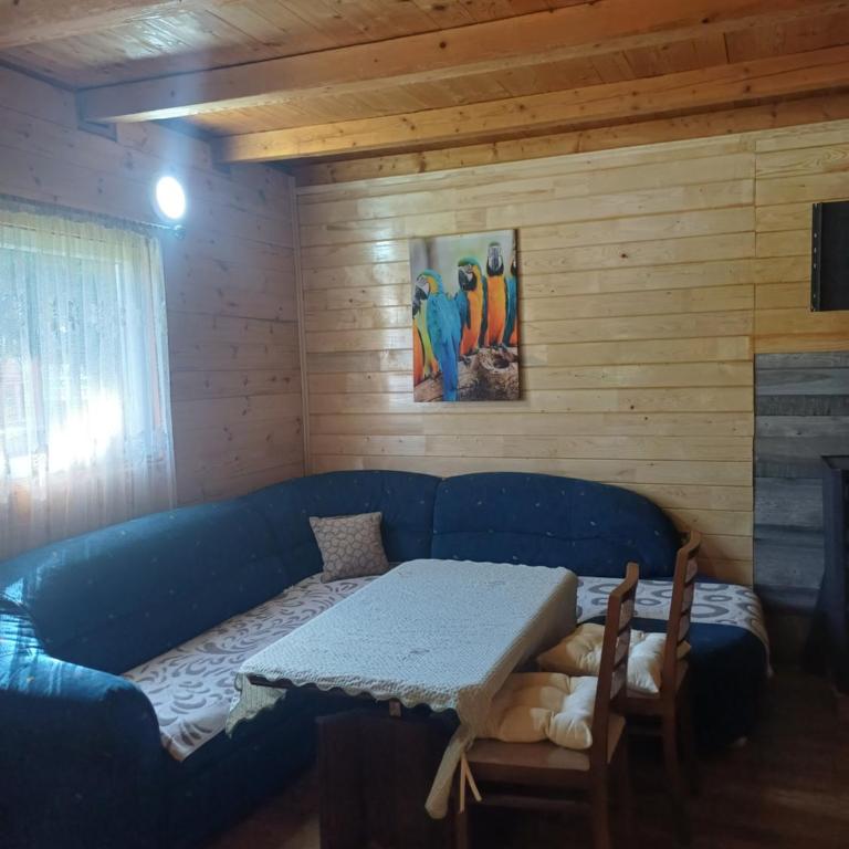 Etno Vila Miki - Vila sa 2 Spavaće Sobe - 11