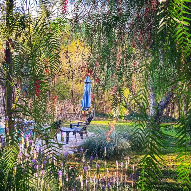 Las Pircas, casa de campo - Villa con piscina privada - 47