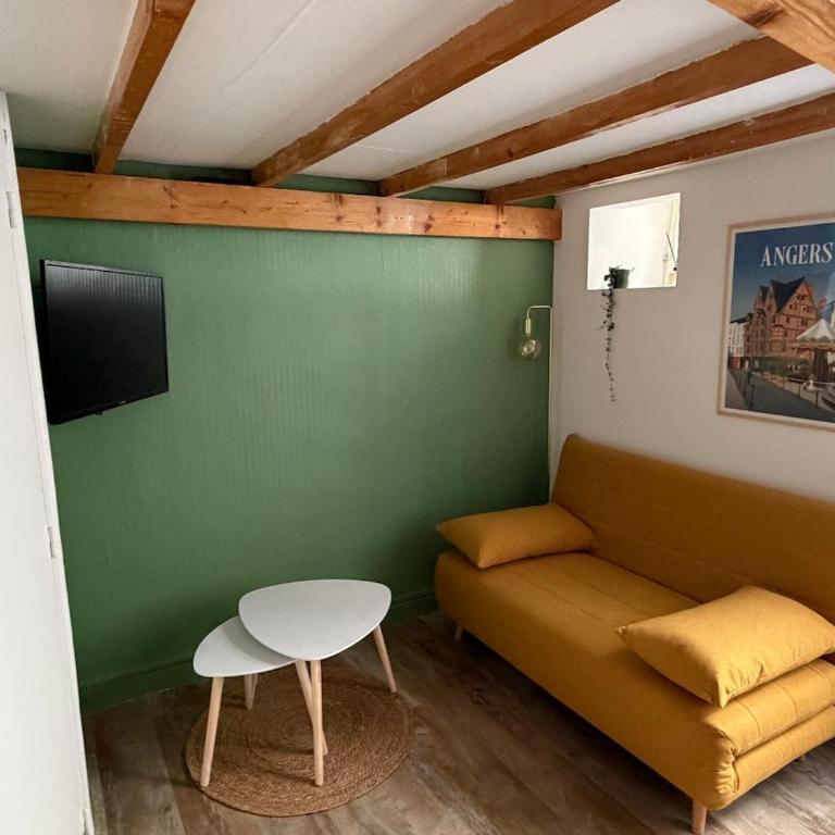 Le Roi Rene appartement cosy et confortable Angers centre entre gare et château - Appartement 1 Chambre - 2