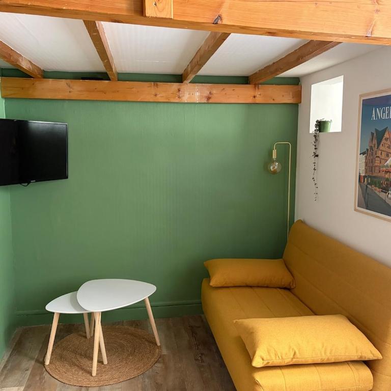Le Roi Rene appartement cosy et confortable Angers centre entre gare et château - Appartement 1 Chambre - 3