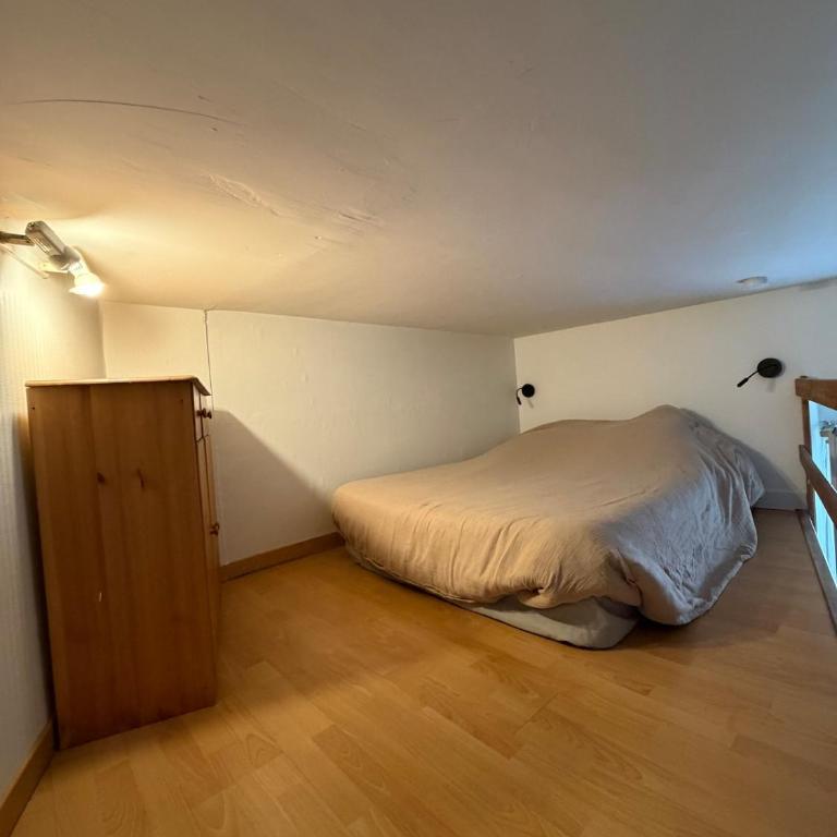 Le Roi Rene appartement cosy et confortable Angers centre entre gare et château - Appartement 1 Chambre - 5