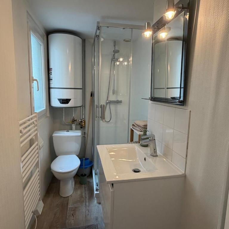 Le Roi Rene appartement cosy et confortable Angers centre entre gare et château - Appartement 1 Chambre - 6