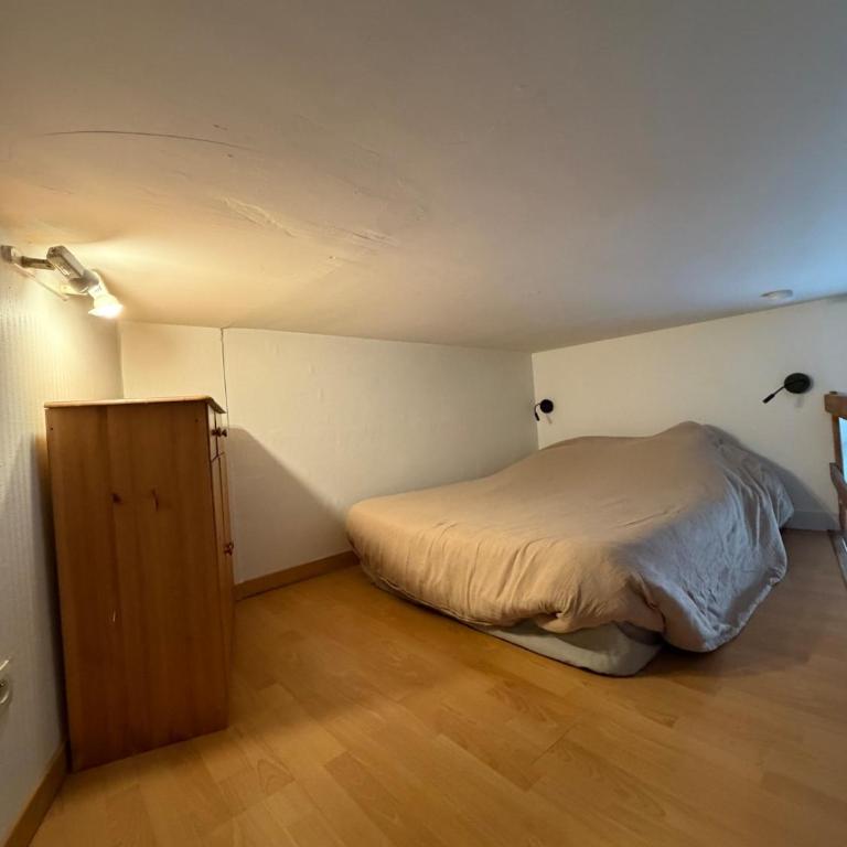 Le Roi Rene appartement cosy et confortable Angers centre entre gare et château - Appartement 1 Chambre - 7