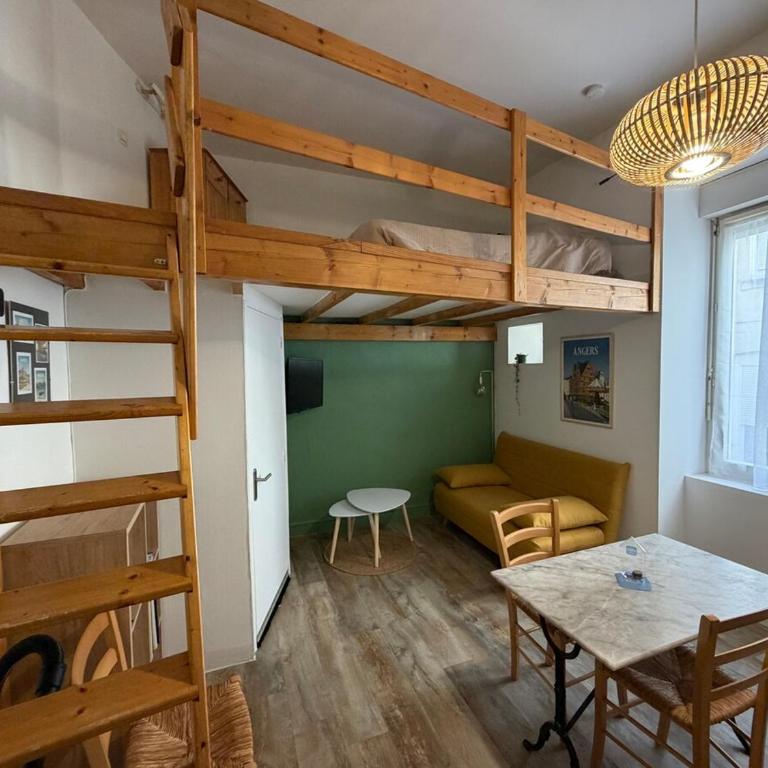 Le Roi Rene appartement cosy et confortable Angers centre entre gare et château - Appartement 1 Chambre - 13