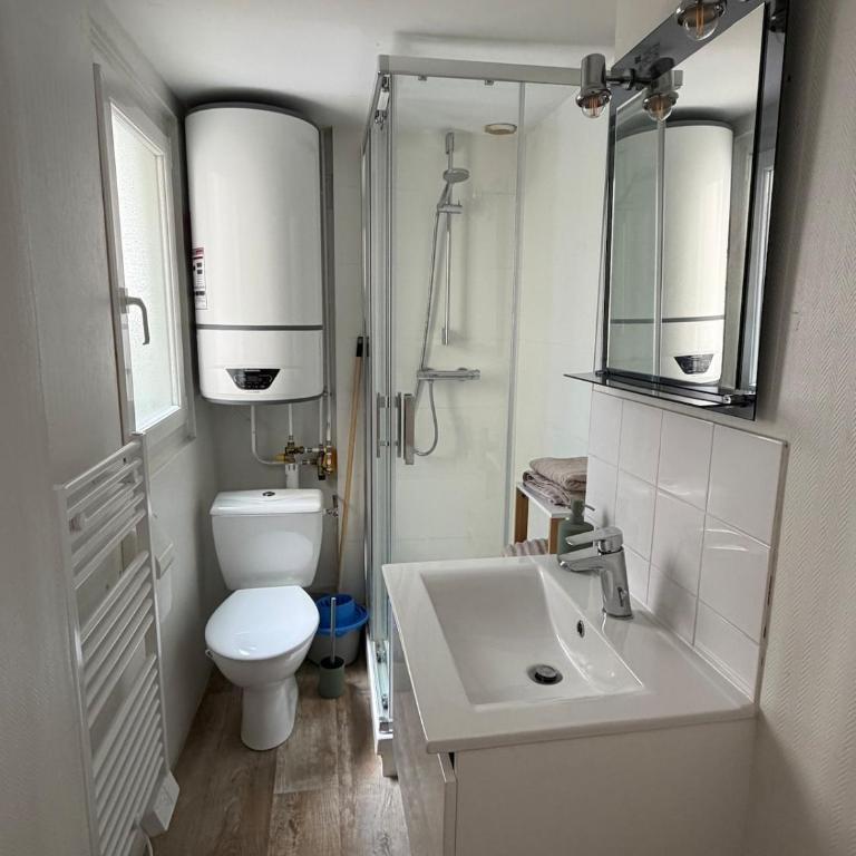 Le Roi Rene appartement cosy et confortable Angers centre entre gare et château - Appartement 1 Chambre - 14