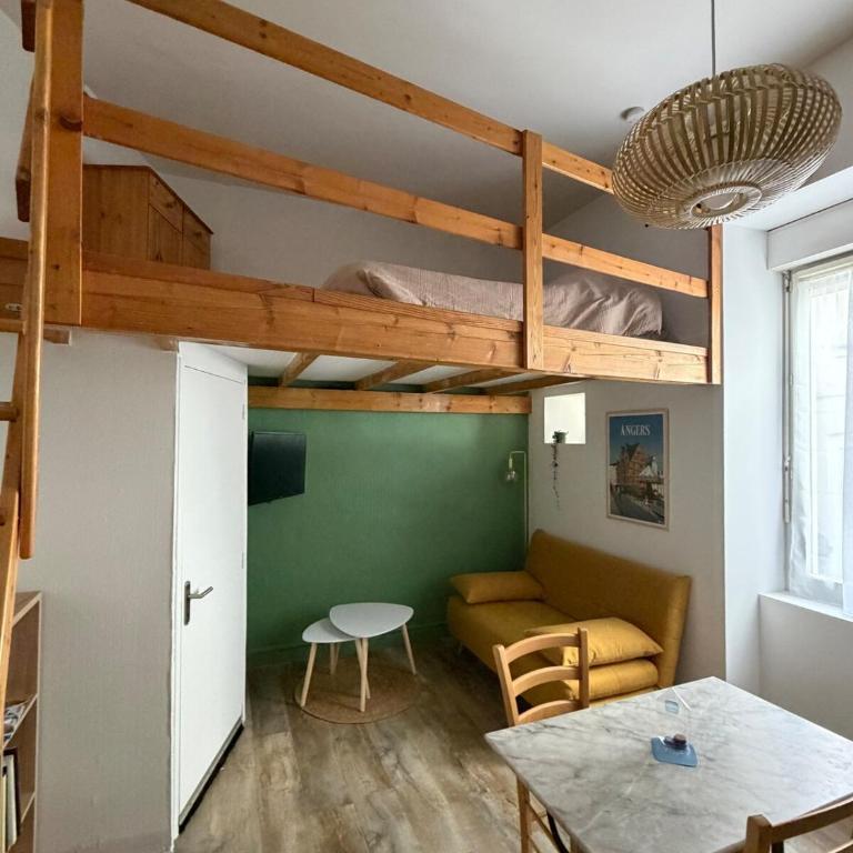 Le Roi Rene appartement cosy et confortable Angers centre entre gare et château - Appartement 1 Chambre - 16