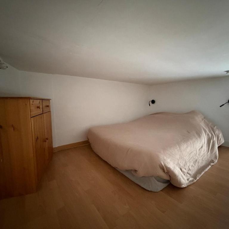 Le Roi Rene appartement cosy et confortable Angers centre entre gare et château - Appartement 1 Chambre - 17
