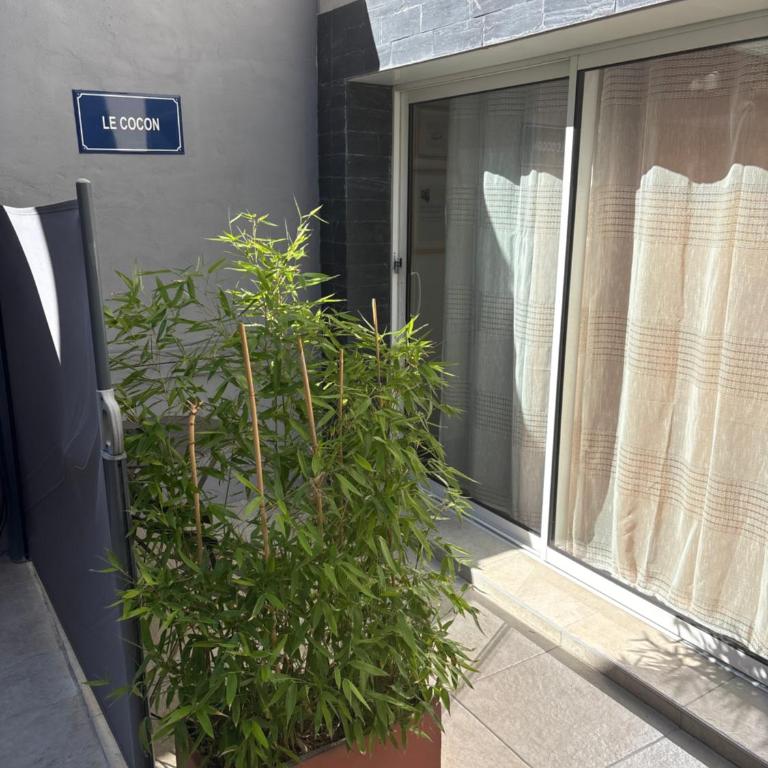 Cocon et sa terrasse - Appartement 1 Chambre - 1