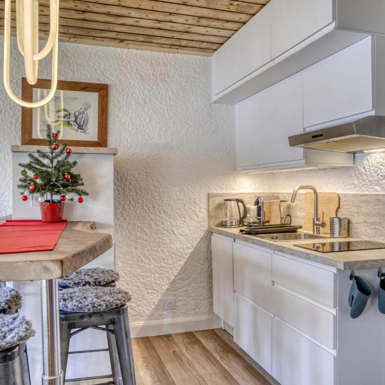 Studio rénové à Mégeve - 4 pers, Wifi - FR-1-453-321 - Studio - 7