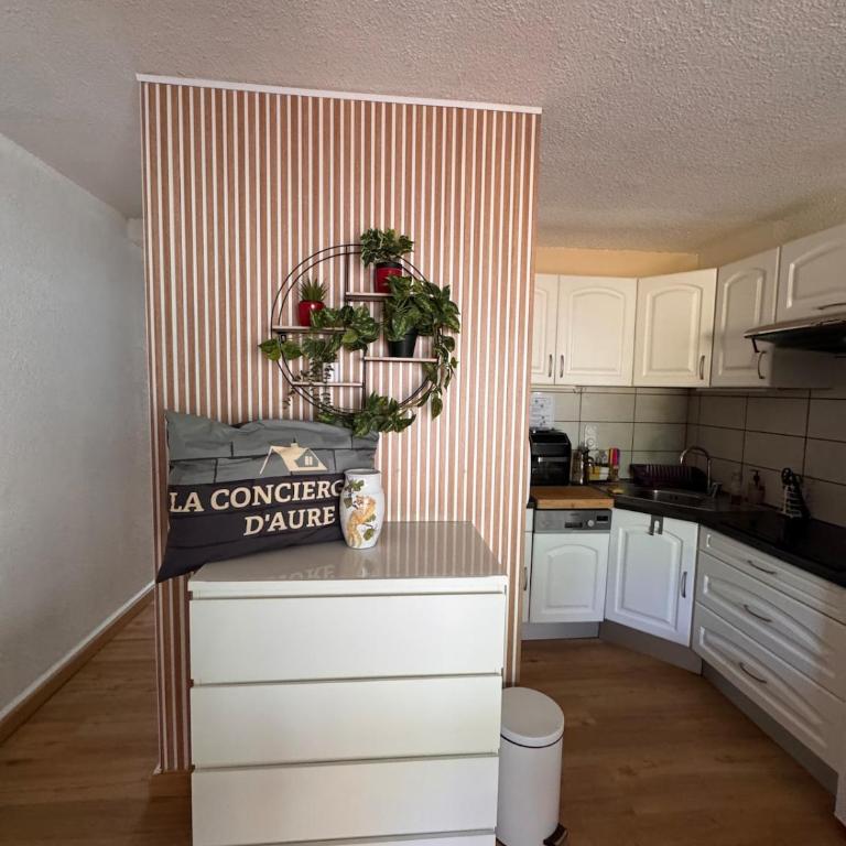 Appart 4-6 couchages Saint Lary Bastanet - Appartement 2 Chambres - 1