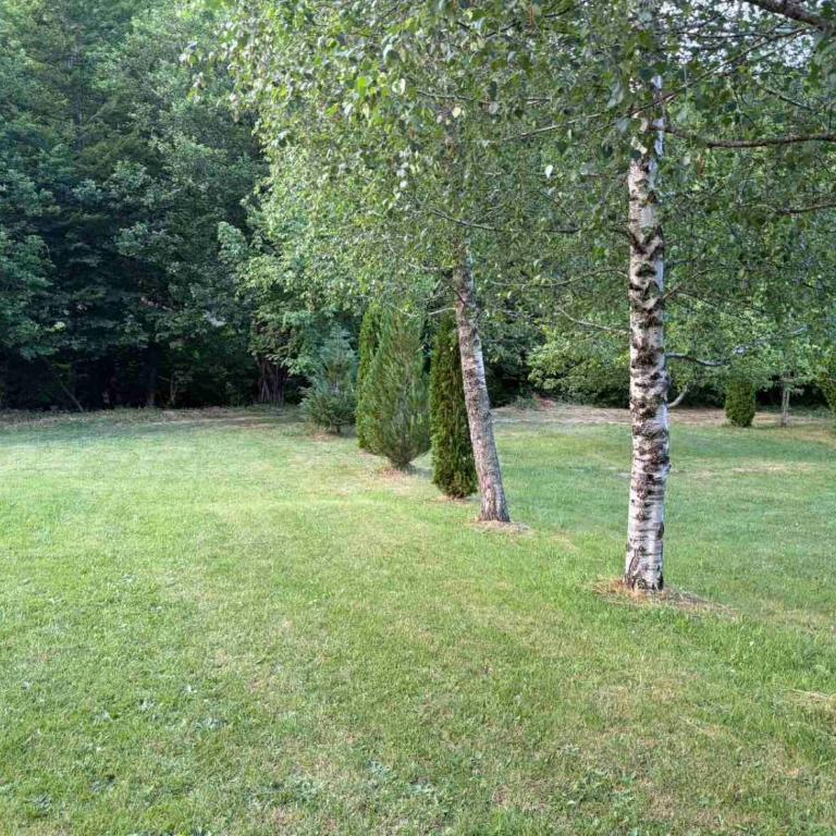 Peak & Pine Kolašin - Apartman sa 2 Spavaće Sobe - 6