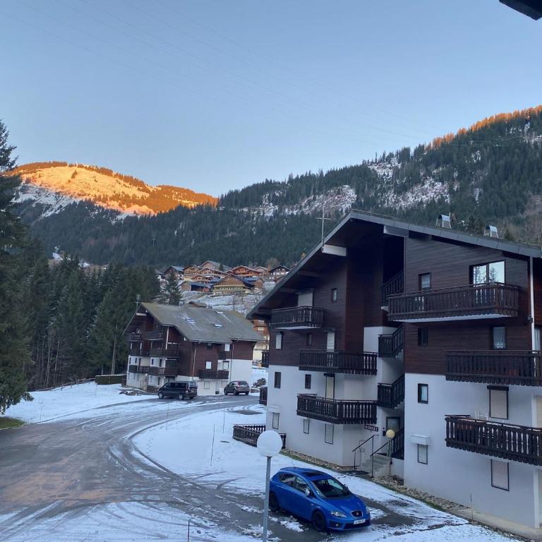 Châtel : 2 pièces avec balcon et parking - FR-1-198-119 - Appartement (6 Adultes) - 10