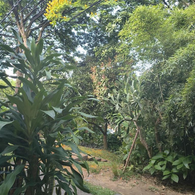 Casa Bosque de Agua - Two-Bedroom Apartment - 41