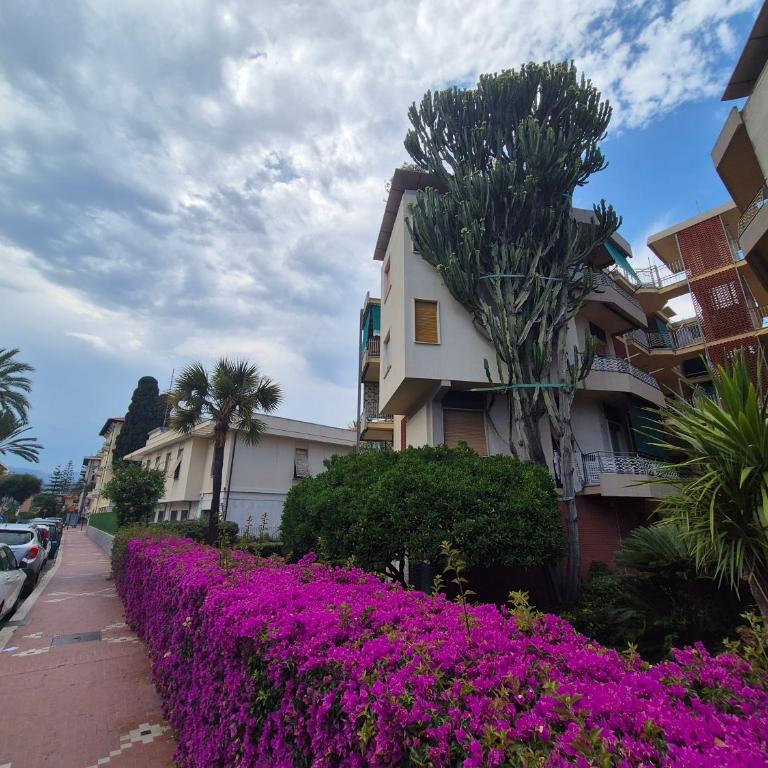 Cactus House Bordighera - Apartment mit 1 Schlafzimmer - 20