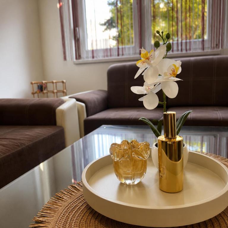 Apartman Centar Agrokop - Apartman sa 1 Spavaćom Sobom - 5